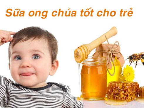 Những tác dụng tuyệt vời của sữa ong chúa là gì?