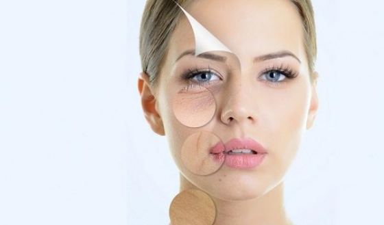 Sữa ong chúa giúp ngăn ngừa lão hóa