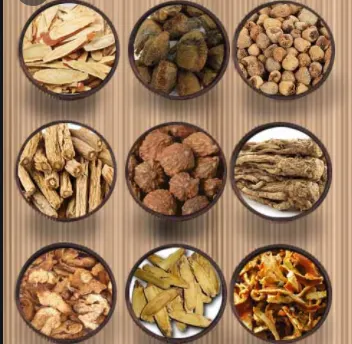 Thành phần bài thuốc Bổ trung ích khí thang