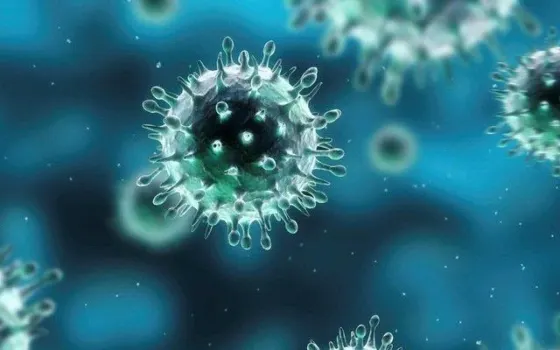 virus cúm b gây sốc nhiễm khuẩn