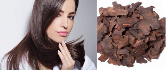 Uống hà thủ ô bao lâu thì đen tóc?