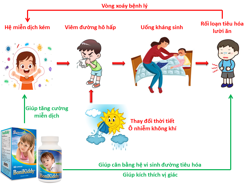 Cơ chế tác dụng toàn diện của sản phẩm BoniKiddy