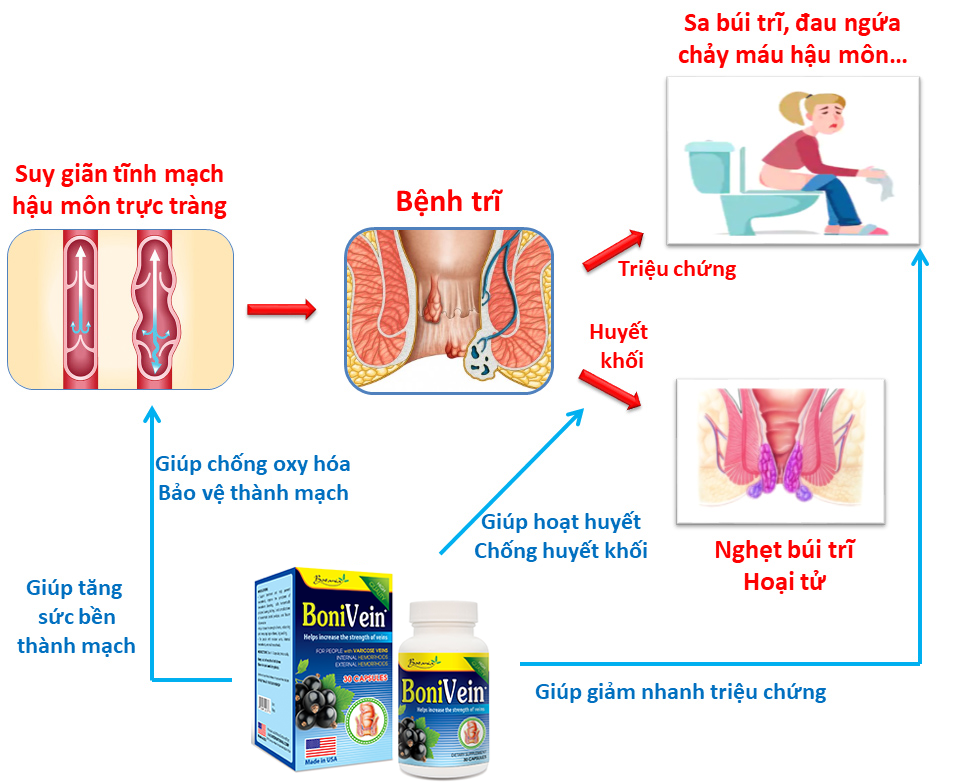 Cơ chế tác dụng của BoniVein