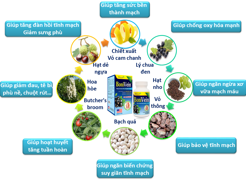 Công thức ưu việt của BoniVein